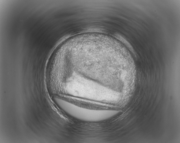 X0000082741043200702161928