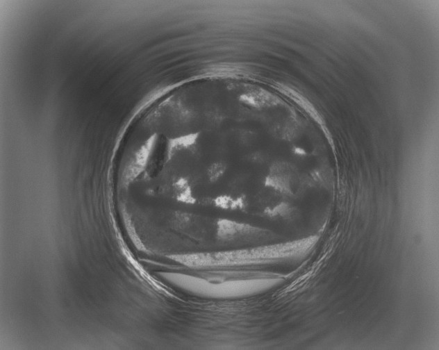 X0000082741045200702161928