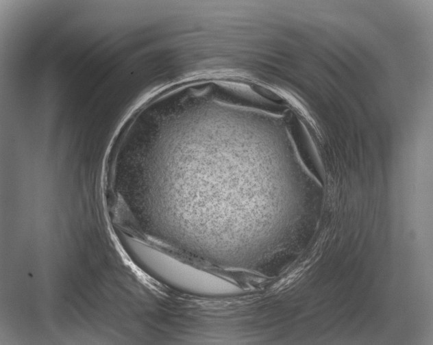 X0000082741046200702161928