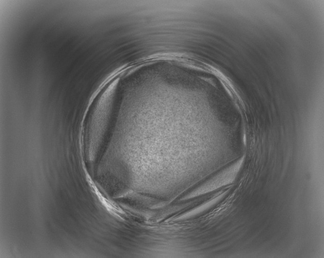 X0000082741050200702161928