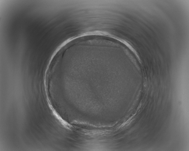 X0000082741054200702161928