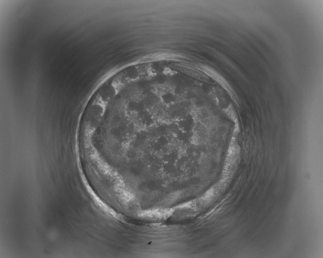 X0000082741055200702161928