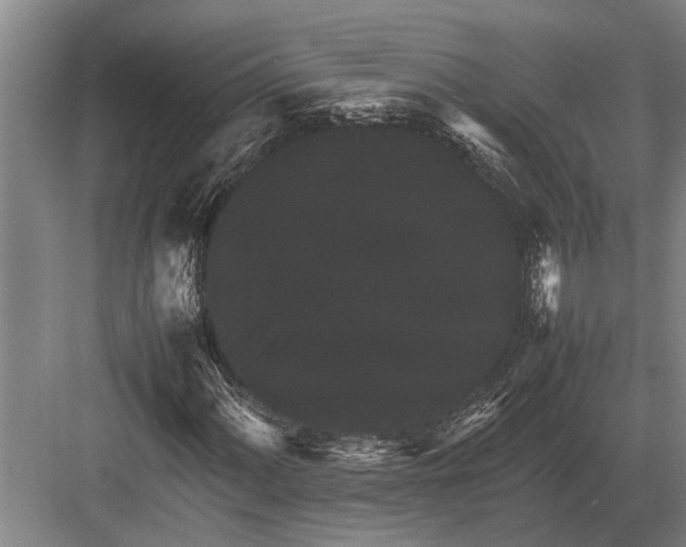 X0000082741060200702161927