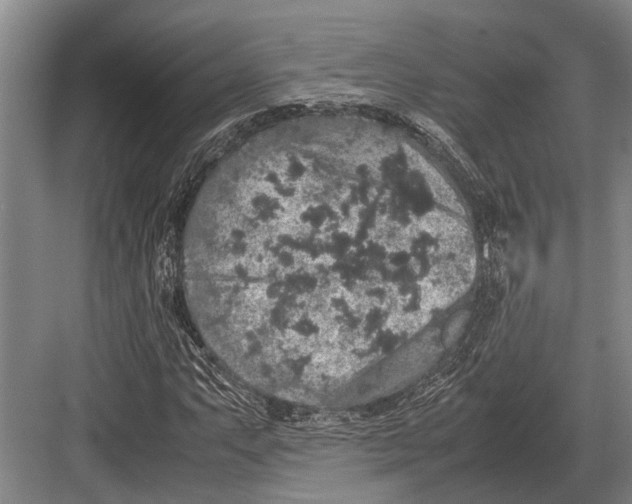 X0000082741063200702161927