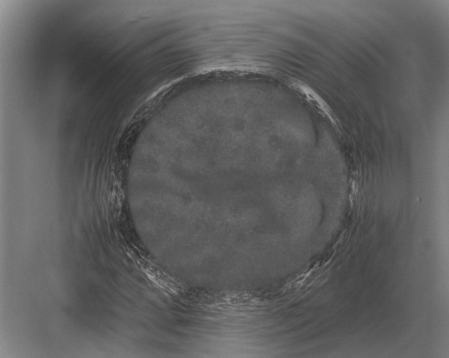 X0000082741064200702161927