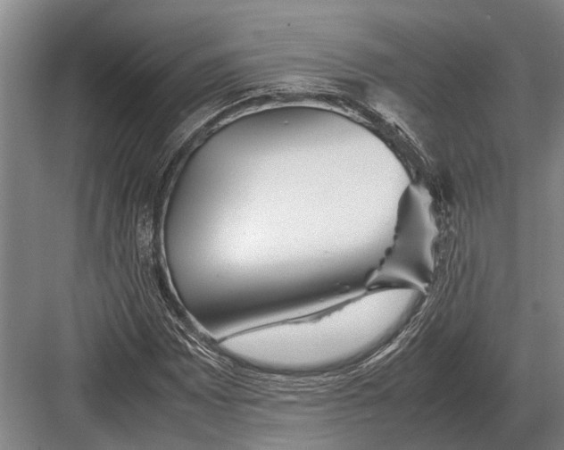 X0000082741065200702161927