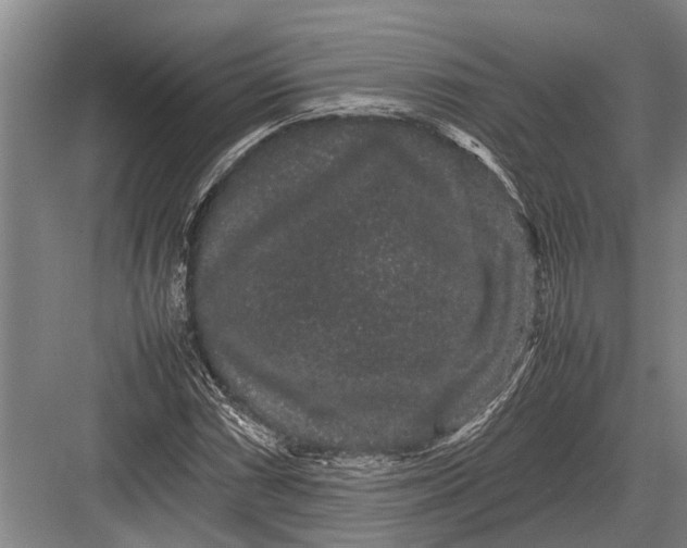 X0000082741066200702161927