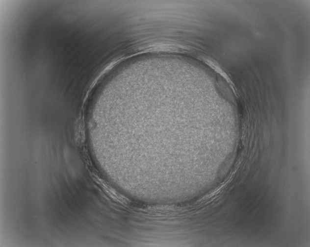 X0000082741067200702161927