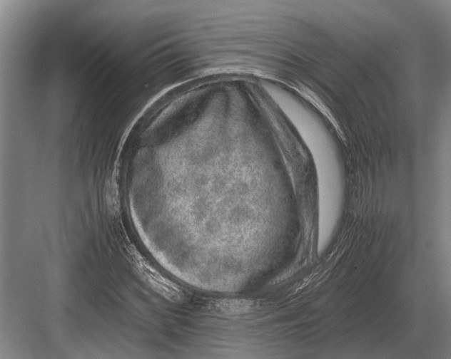 X0000082741068200702161927