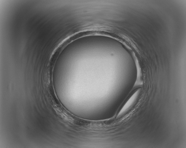 X0000082741069200702161927