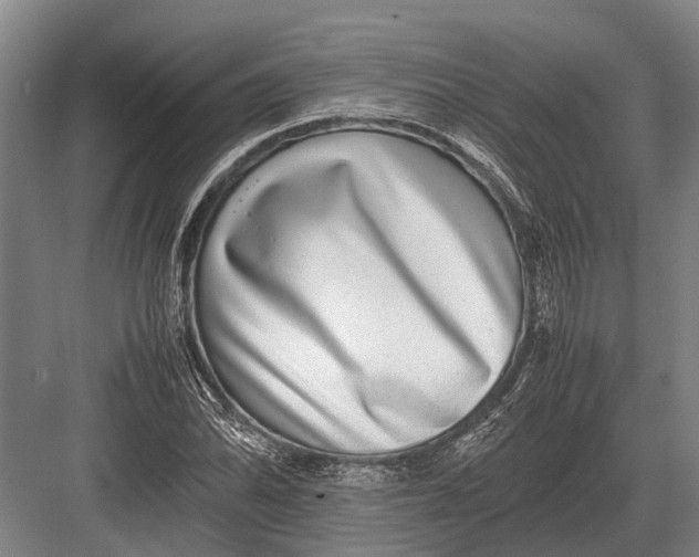 X0000082741070200702161927