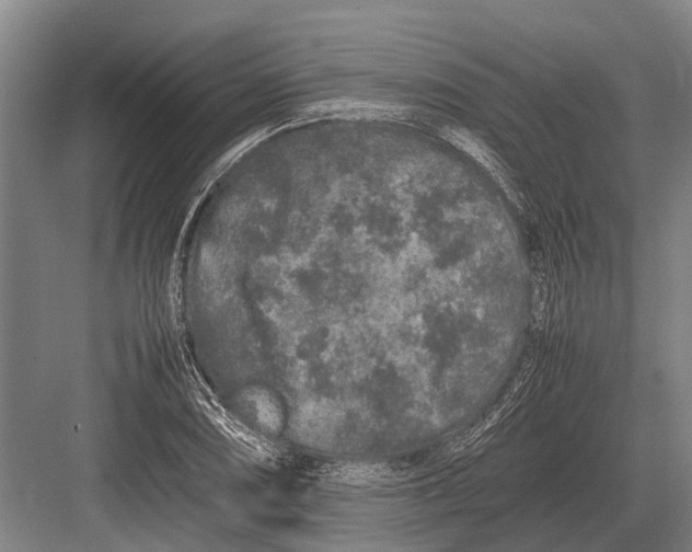 X0000082741074200702161927