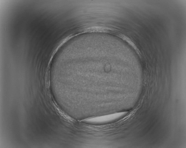 X0000082741075200702161927