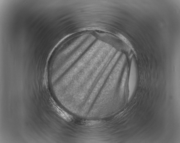 X0000082741076200702161927