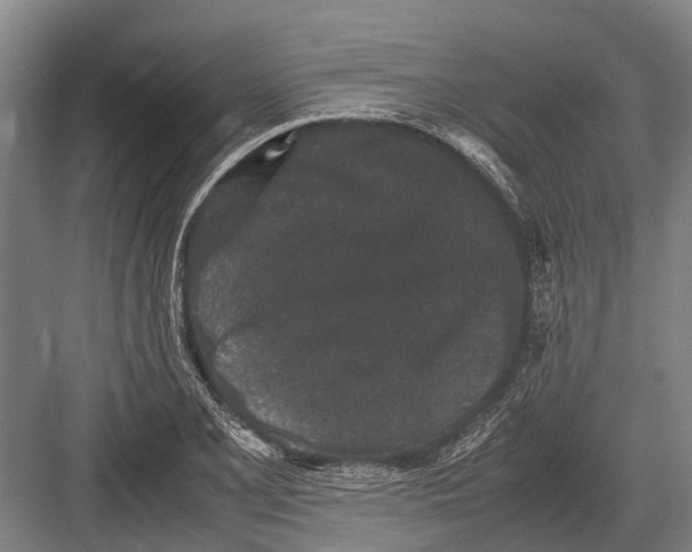 X0000082741077200702161927