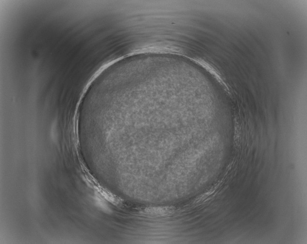 X0000082741078200702161927