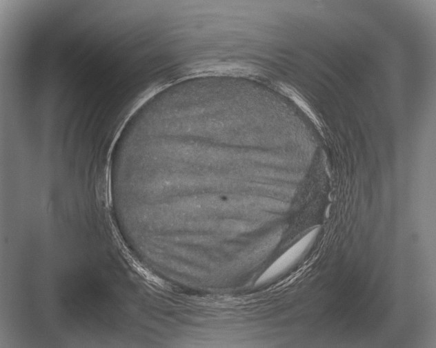 X0000082741079200702161927