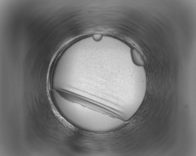 X0000082741080200702161927