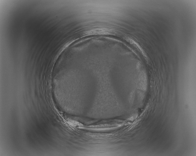 X0000082741081200702161927