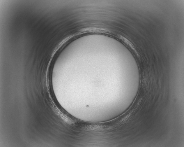 X0000082741082200702161927