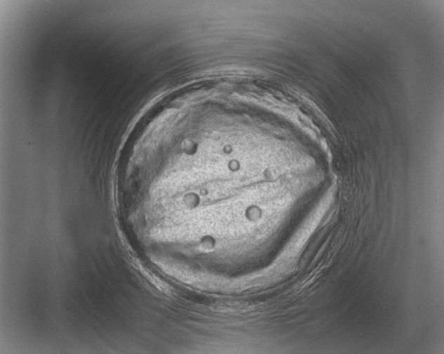 X0000082741083200702161927