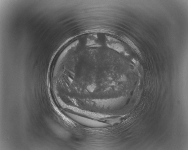 X0000082741084200702161927