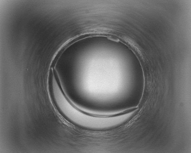 X0000082741085200702161927