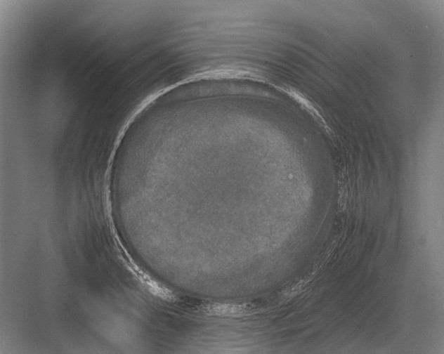 X0000082741086200702161927