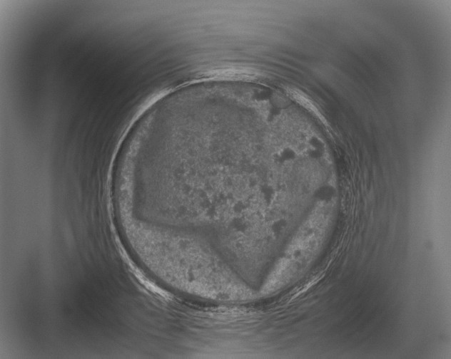 X0000082741087200702161927