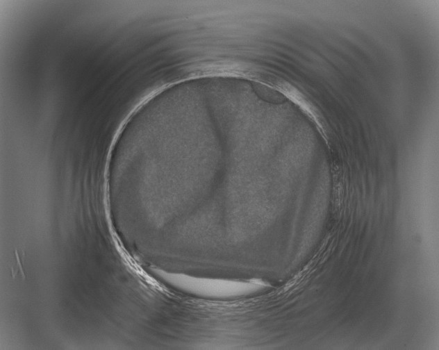 X0000082741088200702161927