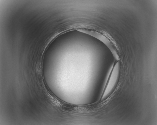 X0000082741089200702161927