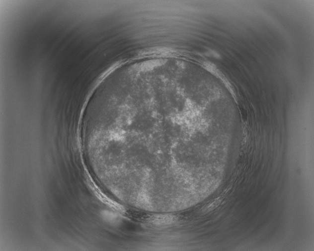 X0000082741090200702161927