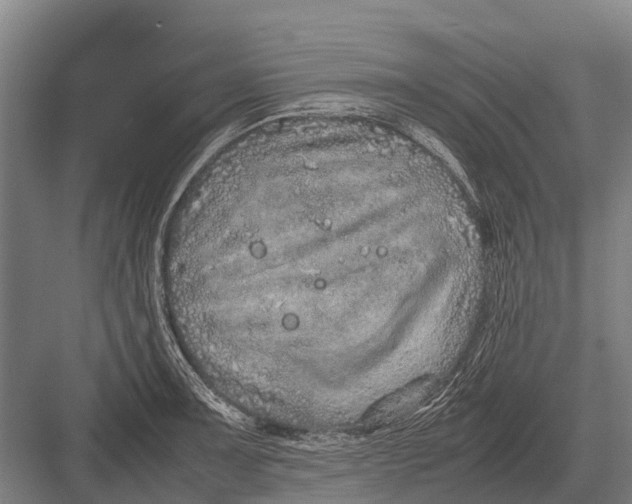 X0000082741091200702161927