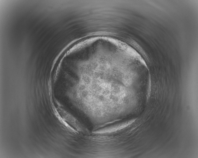 X0000082741092200702161927