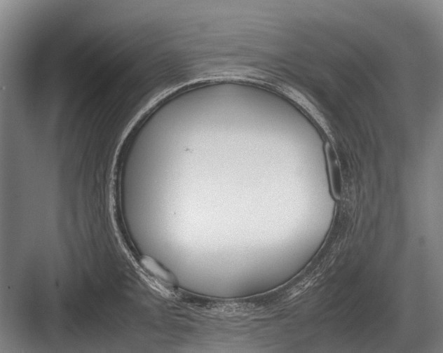 X0000082741093200702161927