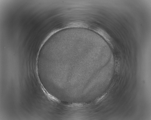 X0000082741094200702161927