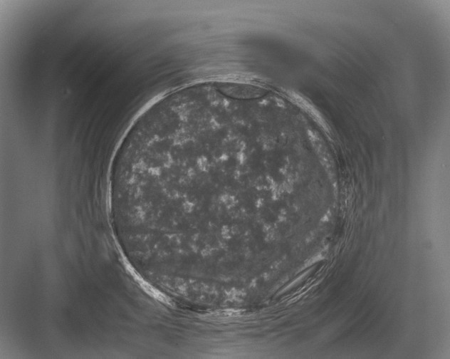 X0000082741095200702161927