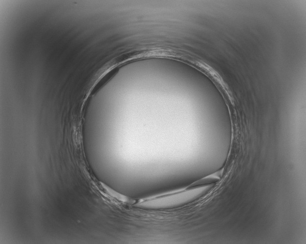 X0000082741097200702161927