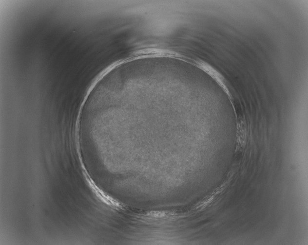 X0000082741098200702161927