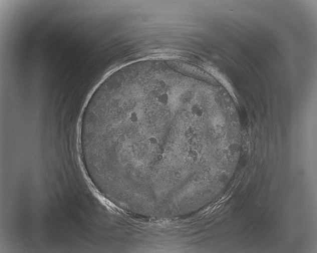 X0000082741099200702161926