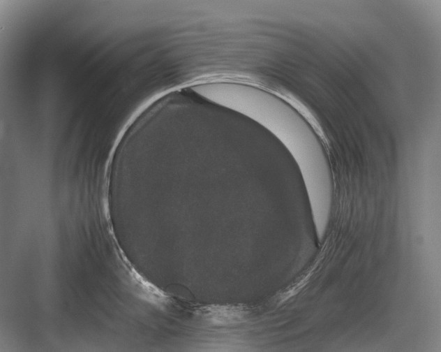 X0000082741102200702161926