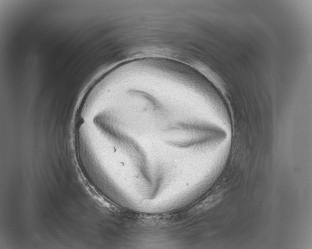 X0000082741104200702161926