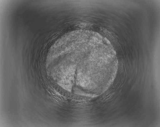 X0000082741105200702161926