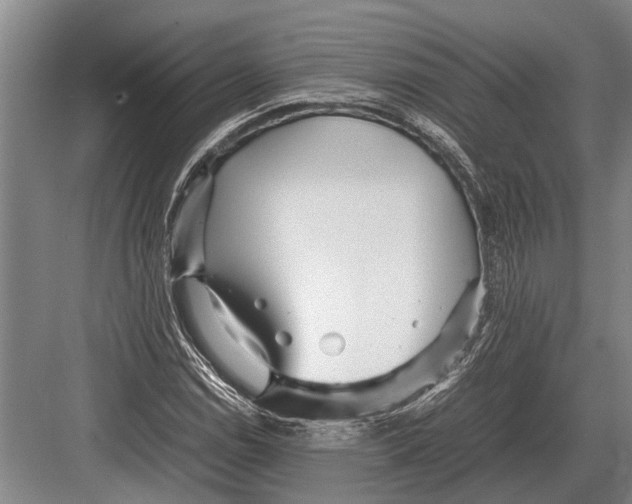 X0000082741114200702161926