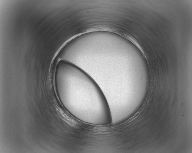 X0000082741116200702161926