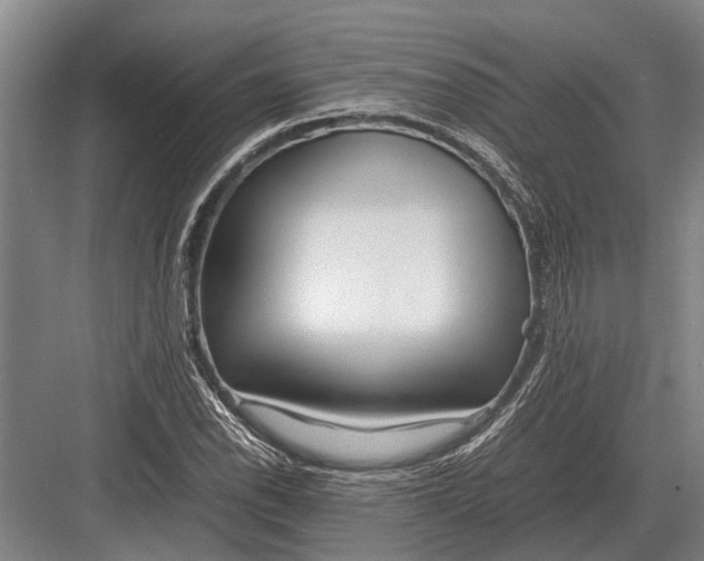 X0000082741118200702161926