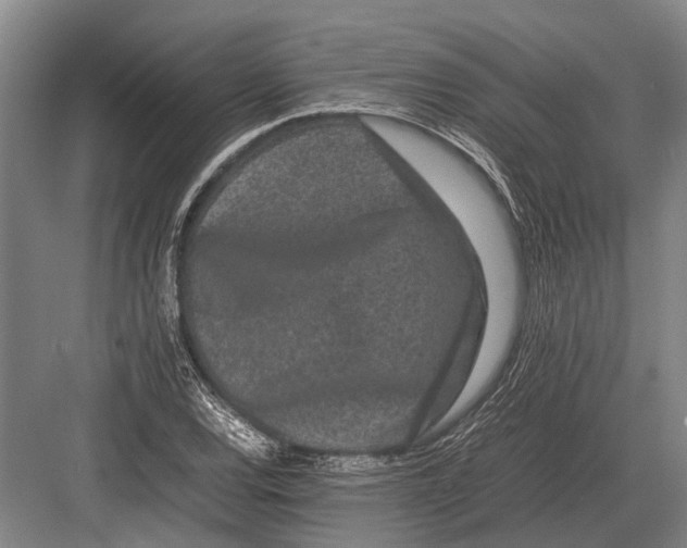 X0000082741120200702161926