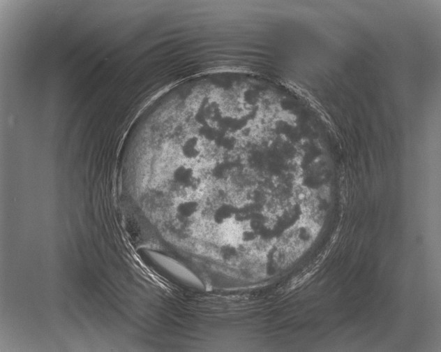 X0000082741121200702161926