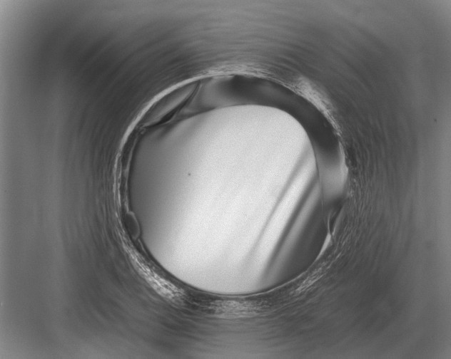 X0000082741124200702161926