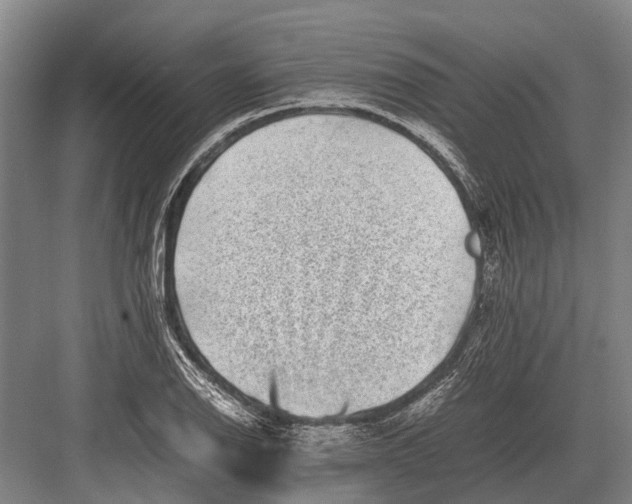 X0000082741126200702161926